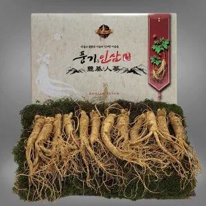 [풍기인삼][9/19(금)순차출고][풍기인삼]  5년근 수삼 1채 500g (10-13뿌리)