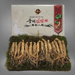 [풍기인삼][9/19(금)순차출고][풍기인삼]  5년근 수삼 1채 750g (15-20뿌리)