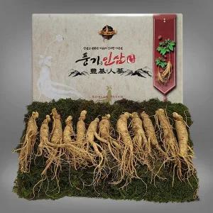 [풍기인삼][9/19(금)순차출고][풍기인삼]  5년근 수삼 1채 750g (10-15뿌리)