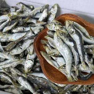 남해 국물용 햇 청어 정어리 멸치 1.5kg 무료배송