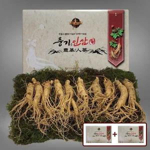 [풍기인삼][9/19(금)순차출고][풍기인삼] 5년근 수삼 1채 750g (8-10뿌리) x 2박스