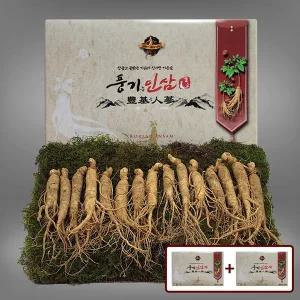 [풍기인삼][9/19(금)순차출고][풍기인삼] 5년근 수삼 1채 750g (15-20뿌리) x 2박스