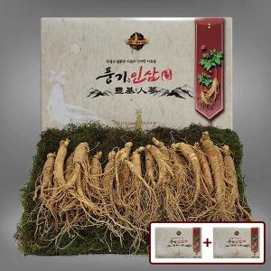 [풍기인삼][9/19(금)순차출고][풍기인삼] 5년근 수삼 1채 750g (20-25뿌리) x 2박스