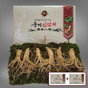 [풍기인삼][9/19(금)순차출고][풍기인삼]  5년근 수삼 500g (6-7뿌리) x 2박스