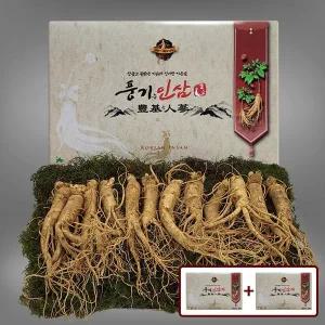 [풍기인삼][9/19(금)순차출고][풍기인삼]  5년근 수삼 500g (10-13뿌리) x 2박스