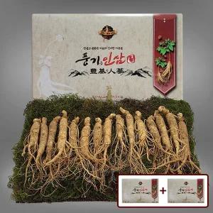 [풍기인삼][9/19(금)순차출고][풍기인삼]  5년근 수삼 500g (15-17뿌리) x 2박스