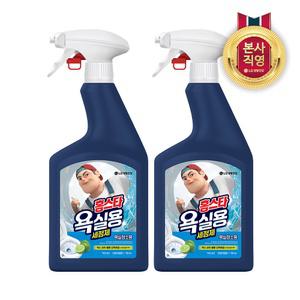 홈스타 맥스프레쉬 욕실청소용 세정제 750ml 2개