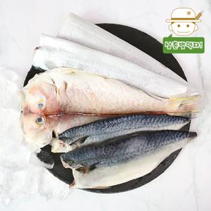 [롯데백화점]삼촌밥먹자 제주 연근해 어획 손질 은갈치/옥돔/고등어 세트