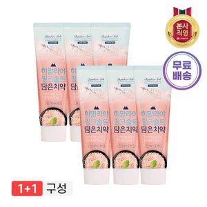 [엘지생활건강]히말라야핑크솔트 치약 100g3(아이스) x 2개