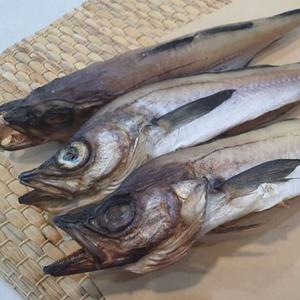 반건조코다리 말린생선 반건조 코다리 4마리 손질 말린 명태