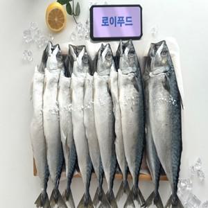 국내산 부산 다대포 손질 자반 고등어 대짜 10마리 대짜 / 30cm-33cm 310g 간고등어 천일염작업