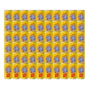 비타파워 180ml 60캔