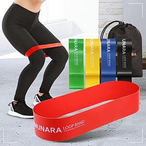 근력 5종세트 밴드 기구 라텍스 탄력 튜빙 루프 스쿼트 어깨 다리힙업 운동 턱걸이 레이닝 고무 LW8DC07A