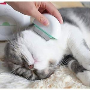 휴대용 단모 고양이 털관리 브러쉬 빗 길냥이 청결 캣