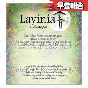 백리향  로즈마리 단어 클리어 우표 DIY Scrapbooking 카드를위한 투명 실리콘 인감 사진 앨범 장식 공예