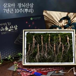 [삼모아농장][바로배송] [삼모아] 장뇌산삼(산양산삼) 7년근 10뿌리(건강사랑세트)/싱싱우드락패키지케...