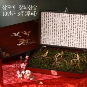 [삼모아농장][바로배송] [삼모아] 장뇌산삼(산양산삼) 10년근 3뿌리(만수무강세트)/고가구케이스+실크보...