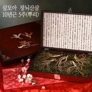 [삼모아농장][바로배송] [삼모아] 장뇌산삼(산양산삼) 10년근 5뿌리(만수무강세트)/고가구케이스+실크보...