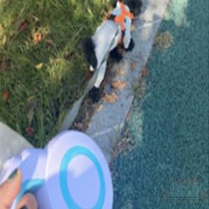 에어리드 자동줄 5M 애견산책줄 애견리드줄
