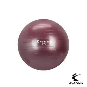 [베프몰]루비와인 AASXDYLN 짐볼 안티버스트 아이워너 75cm