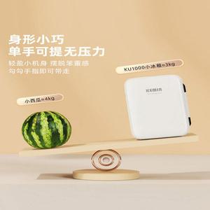 미니냉장고 원룸 기숙사 음료수 캠핑 소형 예쁜 40L 레트로 가정용 자취 사무실 냉동고