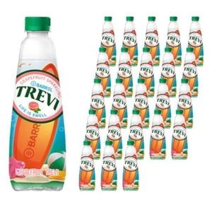 트레비 자몽 탄산음료 500ml 24개