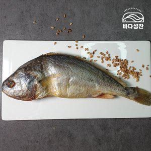 [바다성찬]부세 보리굴비 10미(25~27cm)