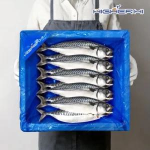 [동아푸드] 노르웨이 간고등어 10미 대 사이즈 (손당 650g 중량)