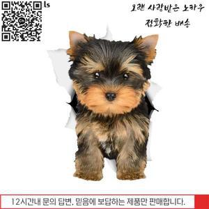 욕실용품 3Ratels 1074 사랑스러운 요크 개 스티커 데칼 벽 냉장고 자동차 화장실 수하물 스케이트 보드 노