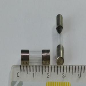 미니유리관 퓨즈/ 250V2A /20mm5T/2개
