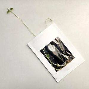 아트박스 72페이지 콩나물 키우기 교육 관찰 실험패키지 DIY KIT 교구