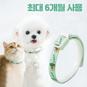 반려사이 강아지 진드기 퇴치제 목걸이 6개월 지속 고양이, S (8kg 까지 ..., 1