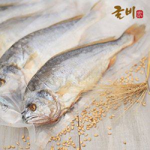 [굴비家]잘말린 부세보리굴비 특 10미/28~30cm/진공포장