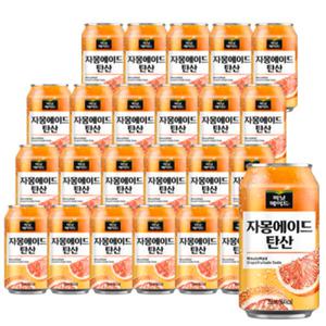 미닛메이드 자몽에이드 탄산 355ml 24캔