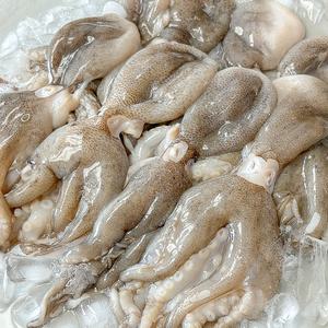 완전 손질 왕쭈꾸미 350g (5-6미) x 3팩