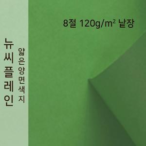 종이문화 뉴씨플레인 얇은 양면 색상지 120g 8절 No.60 연초록 낱장 1매 색도화지 A4용지 A3사이즈 색지