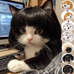 강아지와 고양이 스푸프 가발 크리스마스 애완 동물 용품 곱슬 머리 스트레이트 헤어 DIY 수동 짠 액세서리