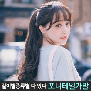 묶음머리 포니테일 앞머리 당고 컬러피스 가발
