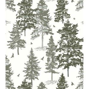 페이퍼 타임셋 14 컨택 접착식 그린 트리 벽화 필 벽 스틱 11 X118 자가 포레스트 다크 탈착식 벽지 장식용 16