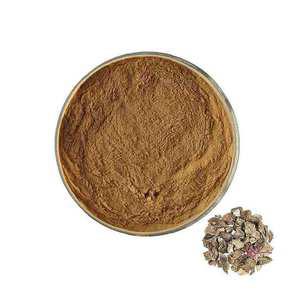 치커리 뿌리 분말 100g 추출물 yza291