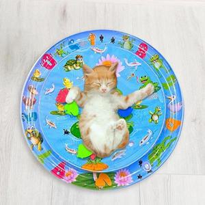 고양이용 감각 물놀이 매트, 두꺼운 물 패드, 반려동물 장난감