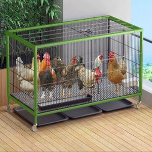 조립식닭장 닭집 양계장 병아리 비둘기 오리 오골계 106x56x65 닭 8마리