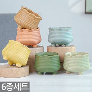 세발 다육 화분 세트(6종) - 다육이 화분세트 식물 분갈이 도자기 실내 사무실 인테리어 다육화분 홈카페