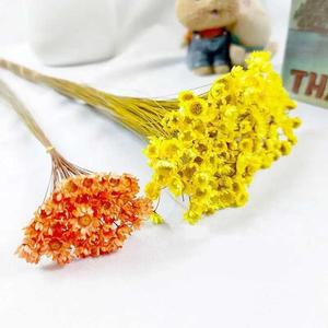 기 탈수기 장식용 드라이 플라워 부케 다채로운 자연 건조 꽃 브라질리언 작은 별 DIY 홈 웨딩