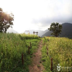 [KTX-1박](NEW)미식대첩! 거제 남파랑길과 통영케이블카·연대도·다찌