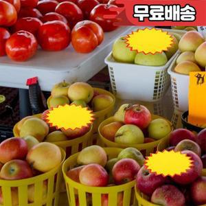 300pcs 지울 수있는 컷 아웃 스토어 모양 디스플레이 스티커 파일 버스트 폴더 라벨 장식 스타