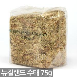 뉴질랜드 수태 75g - 호접란 모스 스팡 난 란 동양 서양 풍란 석부작 토피어리 이끼 화분 천연수태 풍란 천