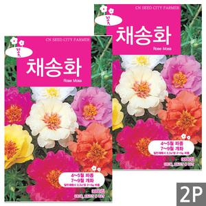 세인화분 채송화 3000립 2개 - 중형