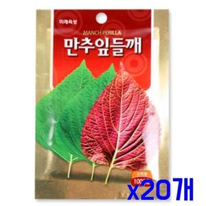 모종 텃밭 가꾸기 만추잎들깨 씨앗 1000립 x20개