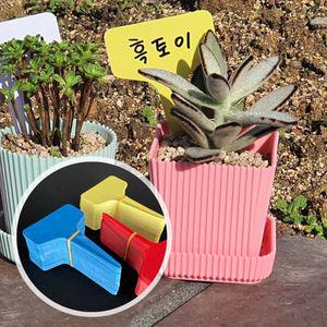 t형 화분 네임택 식물 라벨 100p 이름표 픽 대 화분 식물이름표 픽 t형 식물표찰 팻말